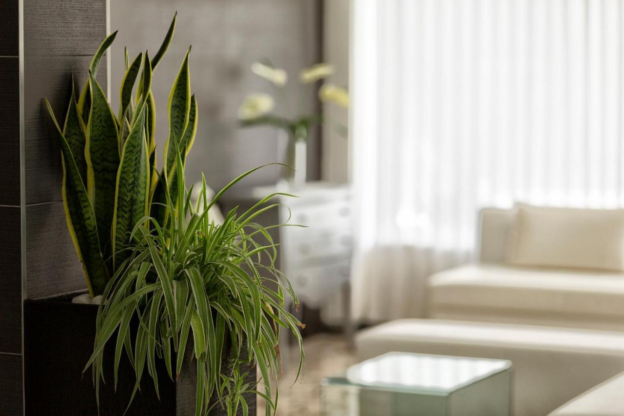 Hotel Bremen Ρίμινι Εξωτερικό φωτογραφία